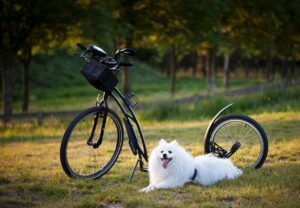 口臭外来の治療にかかる費用はどのくらい？