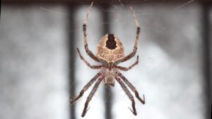 口臭恐怖症に悩む人のための効果的な対策は？