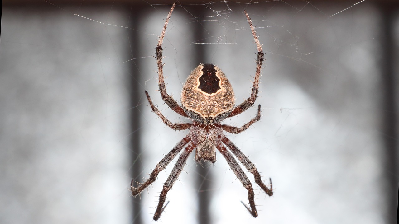 口臭恐怖症に悩む人のための効果的な対策は？