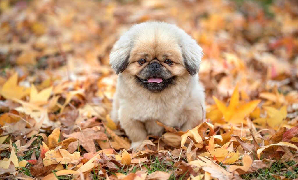 食生活が口臭の原因となる理由とは？
