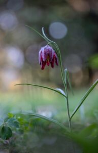 口臭チェッカーの精度はどのくらい信頼できるのか？